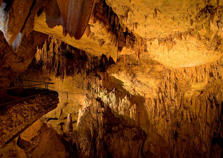 Rio Camuy Cave Park (Parque Nacional de las Cavernas del Río Camuy)